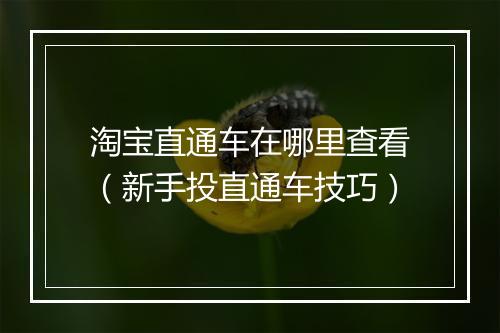 淘宝直通车在哪里查看（新手投直通车技巧）
