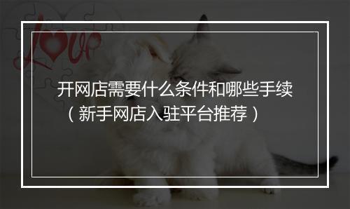 开网店需要什么条件和哪些手续 （新手网店入驻平台推荐）