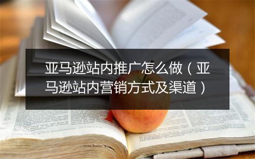 亚马逊站内推广怎么做（亚马逊站内营销方式及渠道）