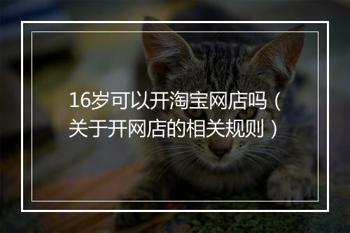 16岁可以开淘宝网店吗（关于开网店的相关规则）