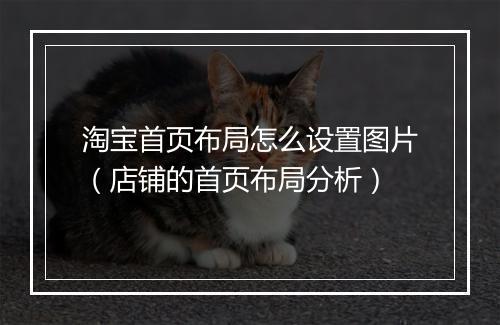 淘宝首页布局怎么设置图片（店铺的首页布局分析）