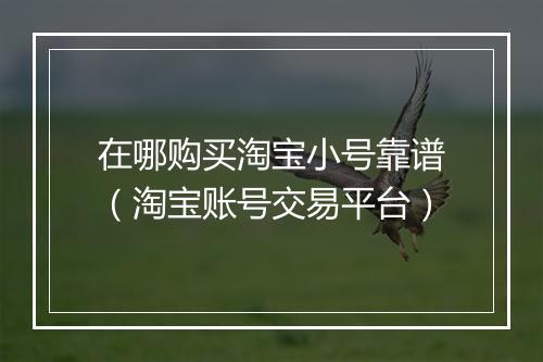 在哪购买淘宝小号靠谱（淘宝账号交易平台）