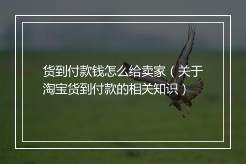 货到付款钱怎么给卖家（关于淘宝货到付款的相关知识）