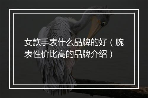 女款手表什么品牌的好（腕表性价比高的品牌介绍）