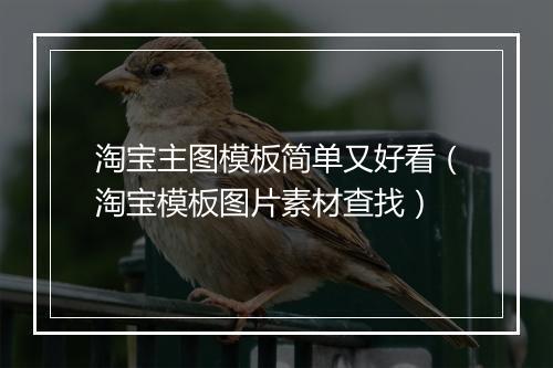 淘宝主图模板简单又好看（淘宝模板图片素材查找）