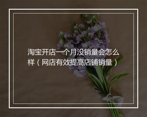 淘宝开店一个月没销量会怎么样（网店有效提高店铺销量）