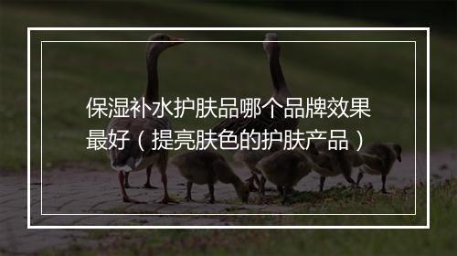 保湿补水护肤品哪个品牌效果最好（提亮肤色的护肤产品）