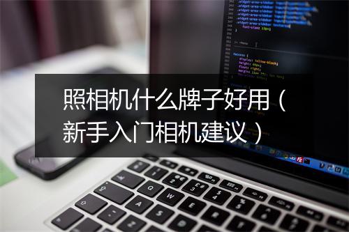 照相机什么牌子好用（新手入门相机建议）