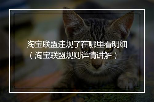 淘宝联盟违规了在哪里看明细（淘宝联盟规则详情讲解）