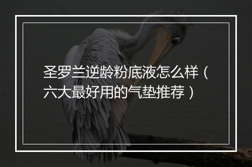 圣罗兰逆龄粉底液怎么样（六大最好用的气垫推荐）