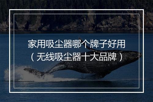 家用吸尘器哪个牌子好用（无线吸尘器十大品牌）