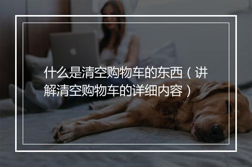 什么是清空购物车的东西（讲解清空购物车的详细内容）