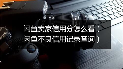 闲鱼卖家信用分怎么看（闲鱼不良信用记录查询）