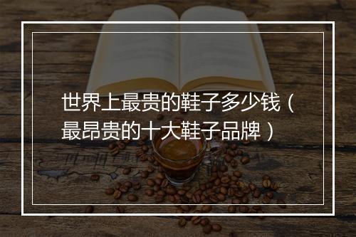 世界上最贵的鞋子多少钱（最昂贵的十大鞋子品牌）