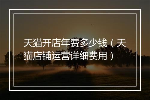天猫开店年费多少钱（天猫店铺运营详细费用）
