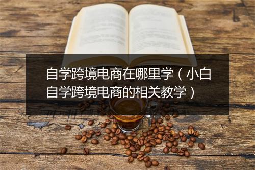自学跨境电商在哪里学（小白自学跨境电商的相关教学）