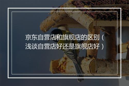 京东自营店和旗舰店的区别（浅谈自营店好还是旗舰店好）