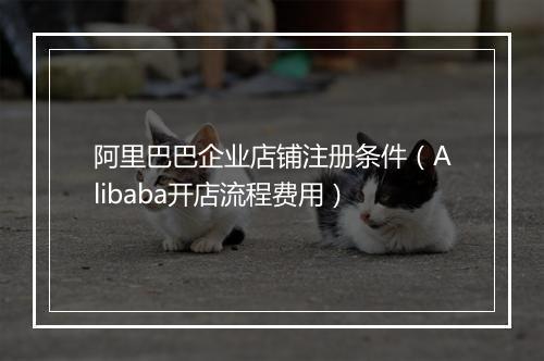 阿里巴巴企业店铺注册条件（Alibaba开店流程费用）