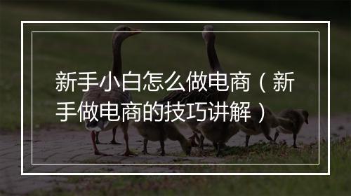 新手小白怎么做电商（新手做电商的技巧讲解）