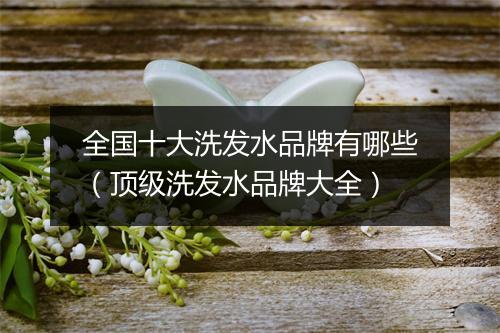 全国十大洗发水品牌有哪些（顶级洗发水品牌大全）
