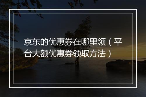 京东的优惠券在哪里领（平台大额优惠券领取方法）