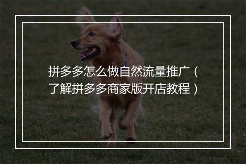 拼多多怎么做自然流量推广（了解拼多多商家版开店教程）