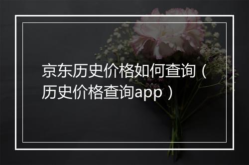 京东历史价格如何查询（历史价格查询app）