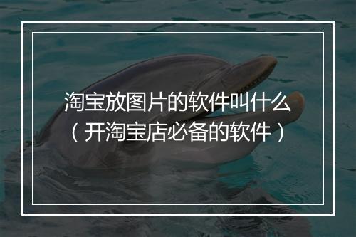 淘宝放图片的软件叫什么（开淘宝店必备的软件）