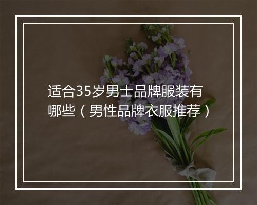 适合35岁男士品牌服装有哪些（男性品牌衣服推荐）