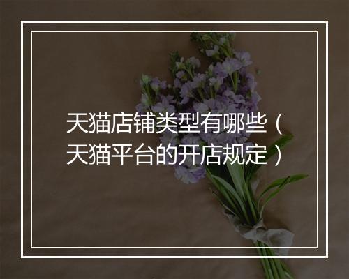 天猫店铺类型有哪些（天猫平台的开店规定）