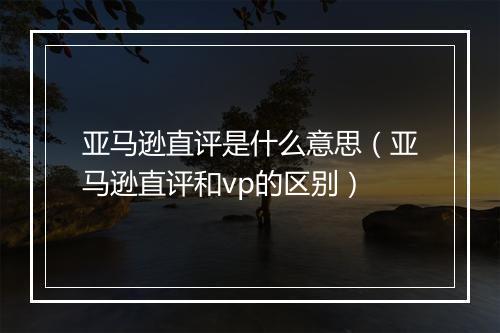 亚马逊直评是什么意思（亚马逊直评和vp的区别）