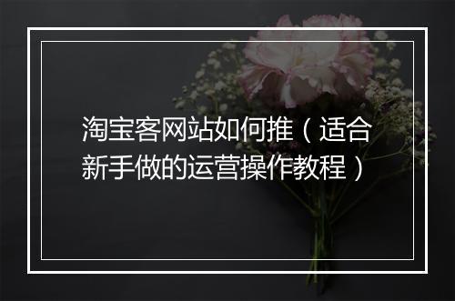 淘宝客网站如何推（适合新手做的运营操作教程）