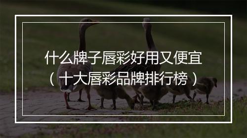 什么牌子唇彩好用又便宜（十大唇彩品牌排行榜）