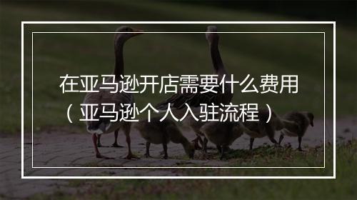 在亚马逊开店需要什么费用（亚马逊个人入驻流程）