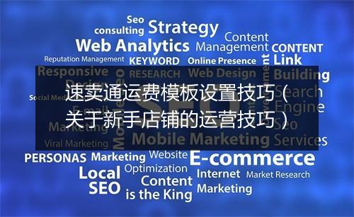 速卖通运费模板设置技巧（关于新手店铺的运营技巧）