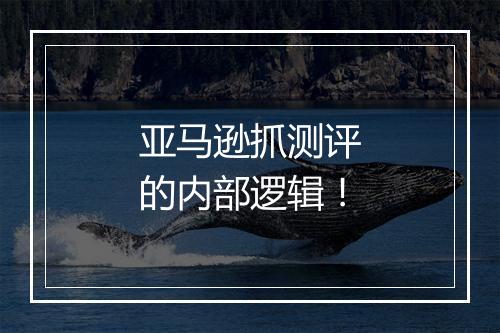 亚马逊抓测评的内部逻辑！