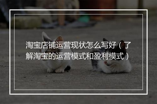 淘宝店铺运营现状怎么写好（了解淘宝的运营模式和盈利模式）