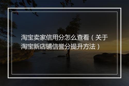 淘宝卖家信用分怎么查看（关于淘宝新店铺信誉分提升方法）