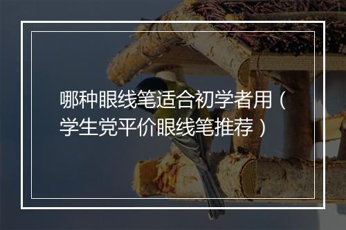 哪种眼线笔适合初学者用（学生党平价眼线笔推荐）