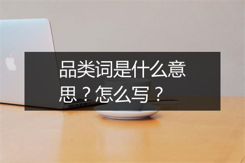 品类词是什么意思？怎么写？