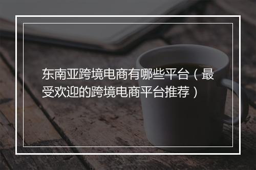 东南亚跨境电商有哪些平台（最受欢迎的跨境电商平台推荐）