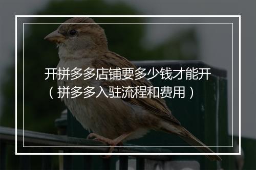 开拼多多店铺要多少钱才能开（拼多多入驻流程和费用）