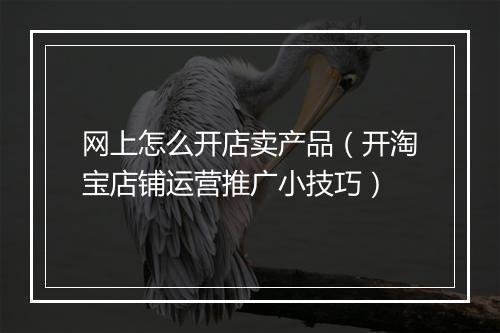 网上怎么开店卖产品（开淘宝店铺运营推广小技巧）
