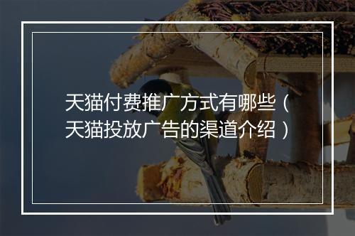 天猫付费推广方式有哪些（天猫投放广告的渠道介绍）