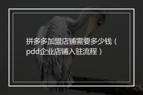 拼多多加盟店铺需要多少钱（pdd企业店铺入驻流程）