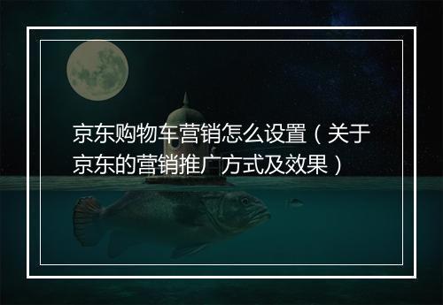 京东购物车营销怎么设置（关于京东的营销推广方式及效果）