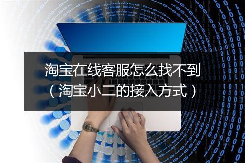 淘宝在线客服怎么找不到（淘宝小二的接入方式）