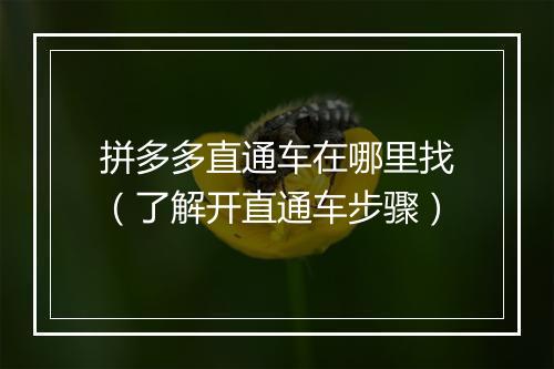 拼多多直通车在哪里找（了解开直通车步骤）
