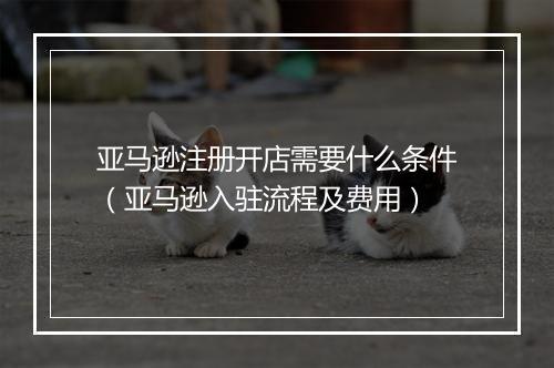 亚马逊注册开店需要什么条件（亚马逊入驻流程及费用）
