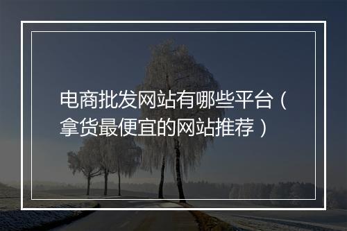 电商批发网站有哪些平台（拿货最便宜的网站推荐）